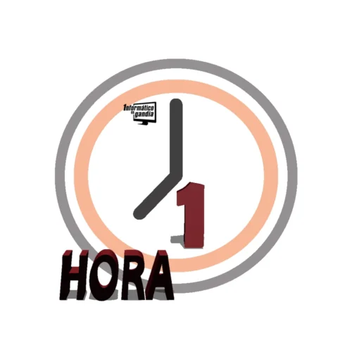 1 hora